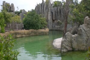 Sistema de filtración Zoológico Bioparc (Valencia, España